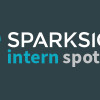The Sparksight Intern Experience