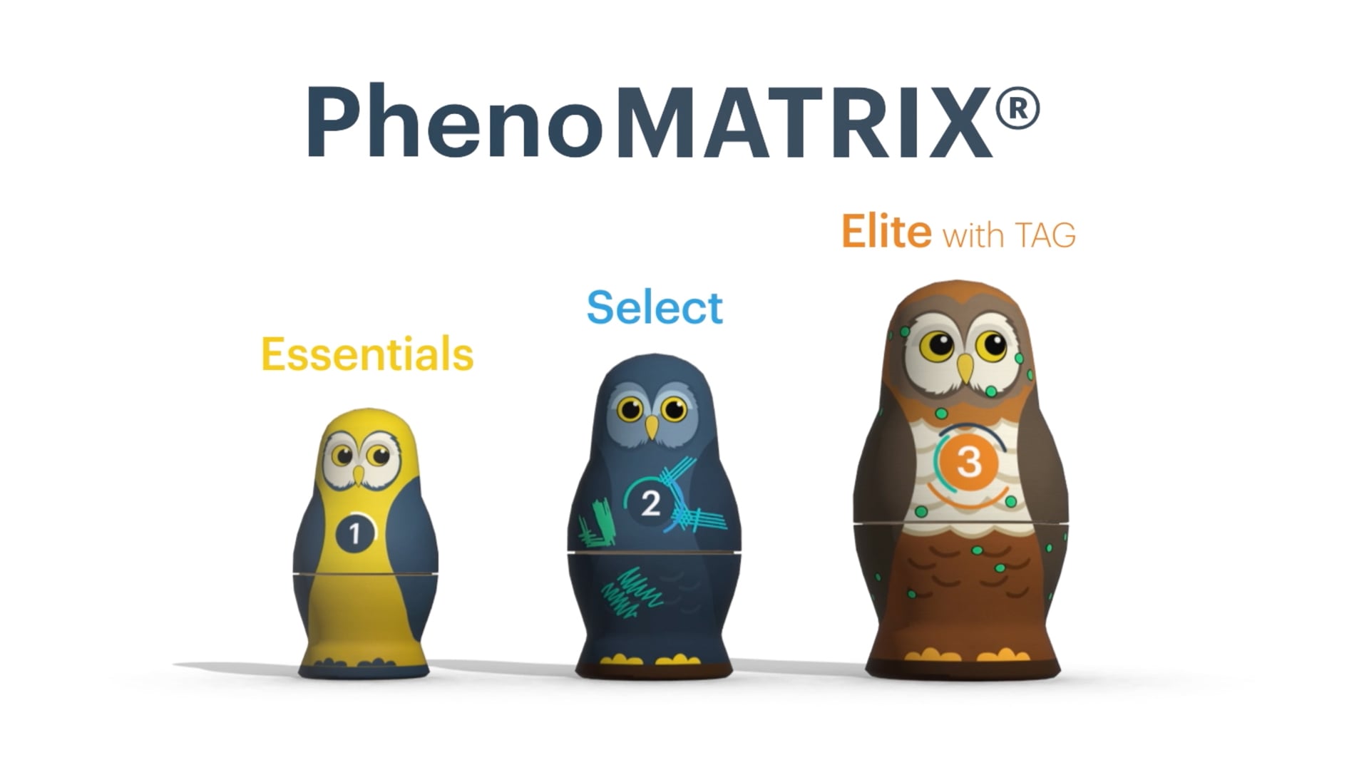 Copan PhenoMatrix Owls Video