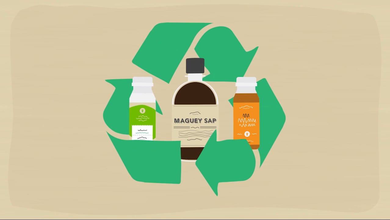 Animation – Explainer Video – Product Launch – Villa de Patos – Maguey Sap