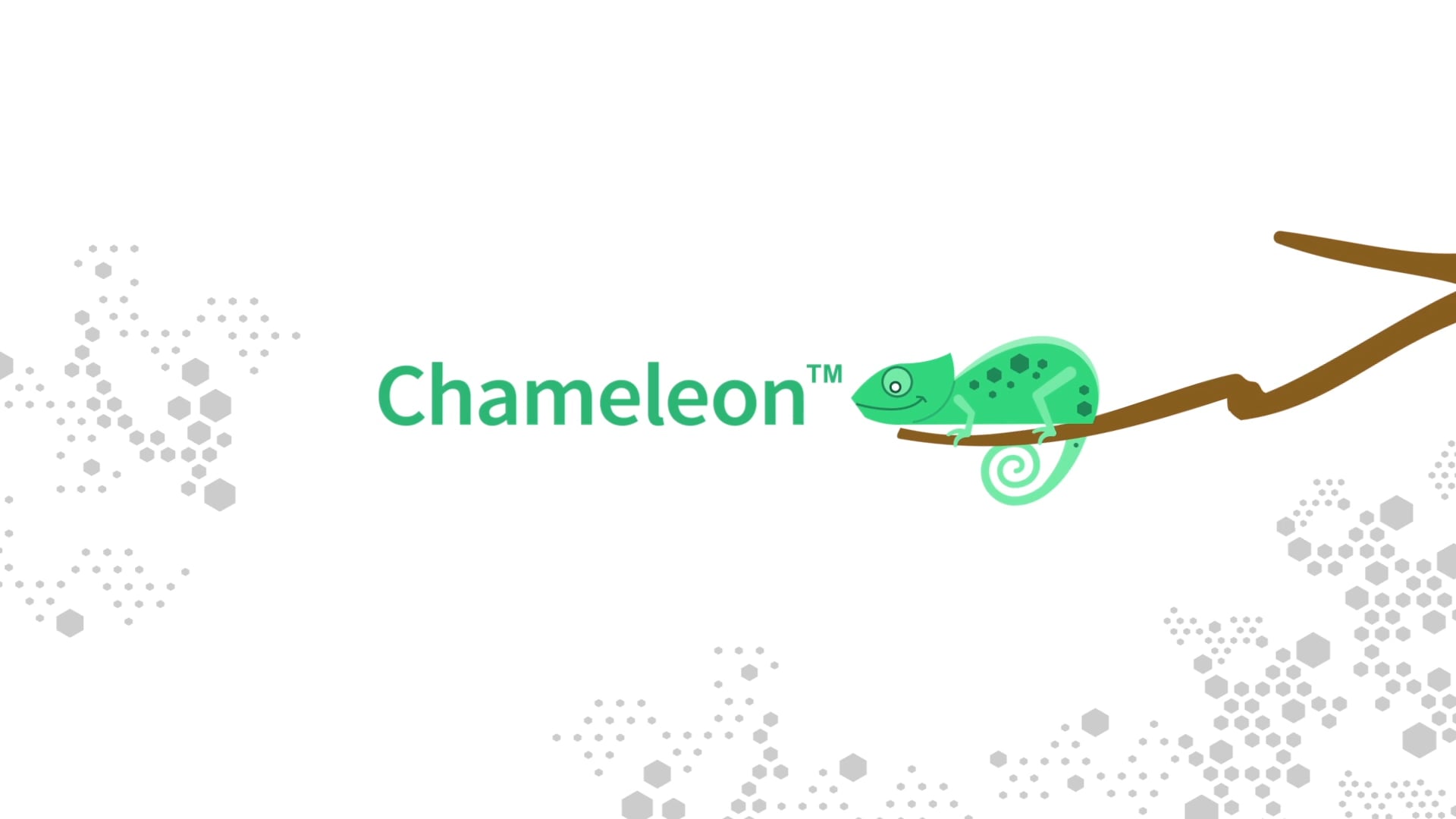 Animation – Explainer Video – Alterian Chameleon
