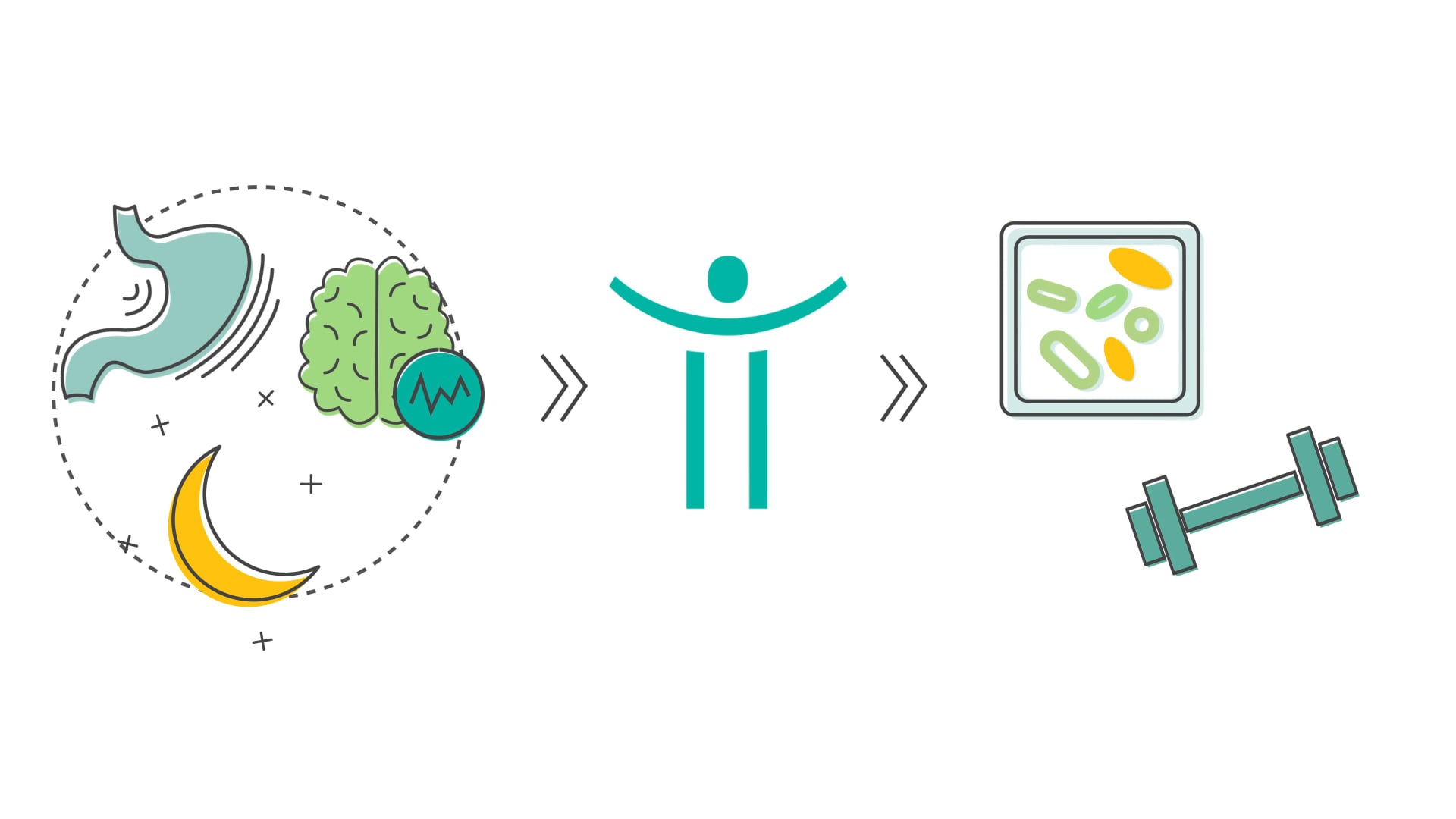 Animation – Explainer Video – Wellnicity