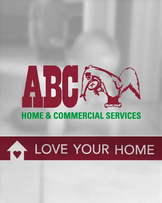 Social Media Video – Vertical Video – ABC Home and Commercial Services – Love Your Home 4×5